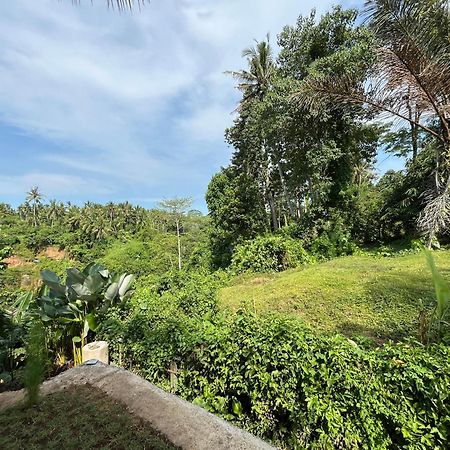 D'Nanda Villa Ubud Kültér fotó