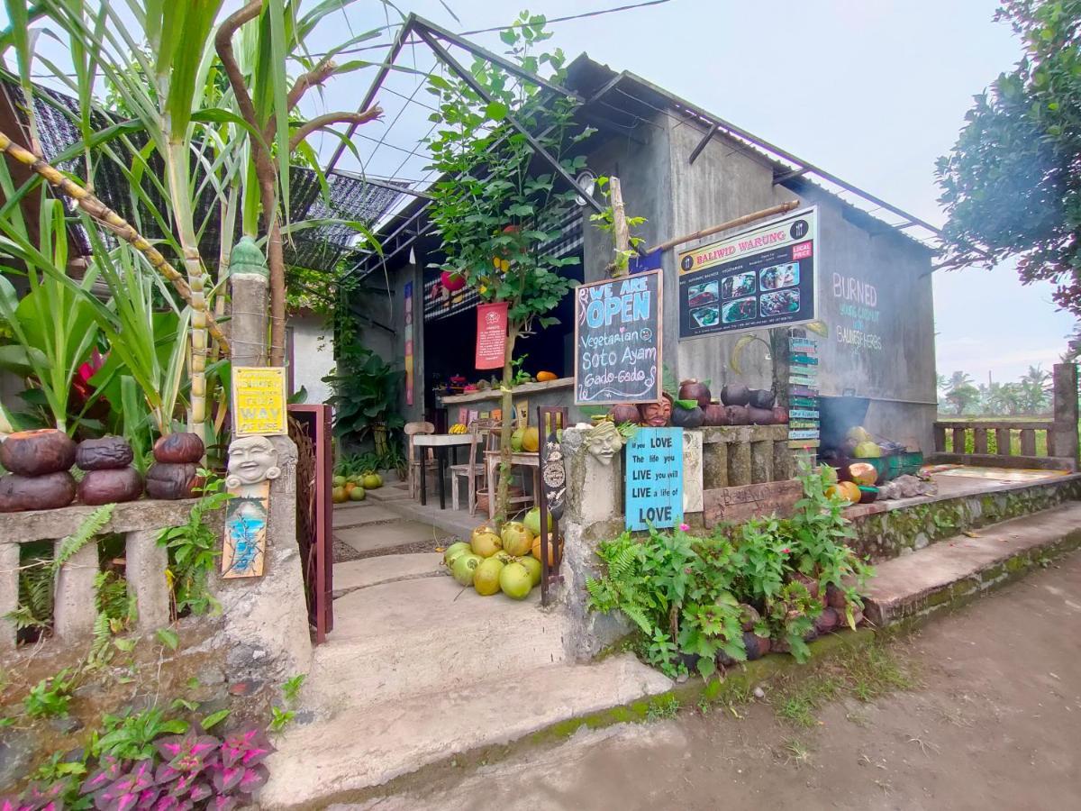 D'Nanda Villa Ubud Kültér fotó