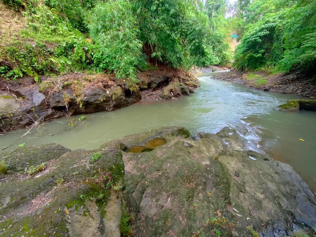 D'Nanda Villa Ubud Kültér fotó