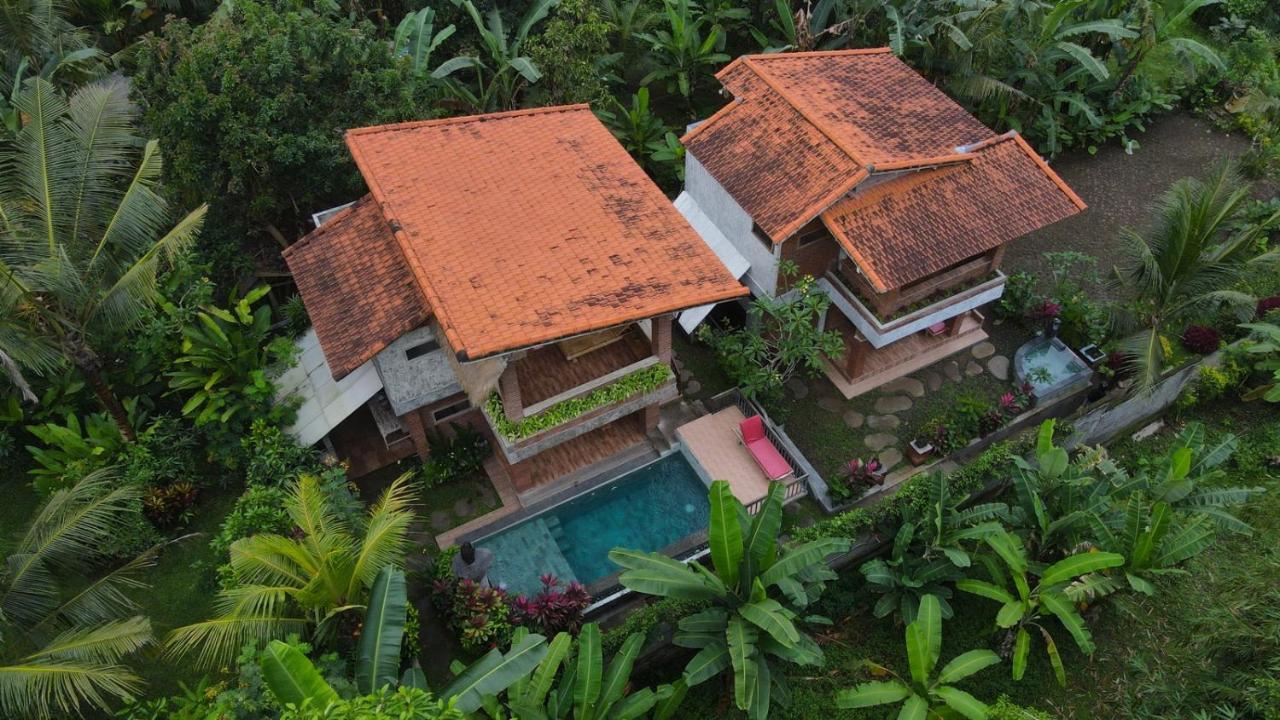 D'Nanda Villa Ubud Kültér fotó
