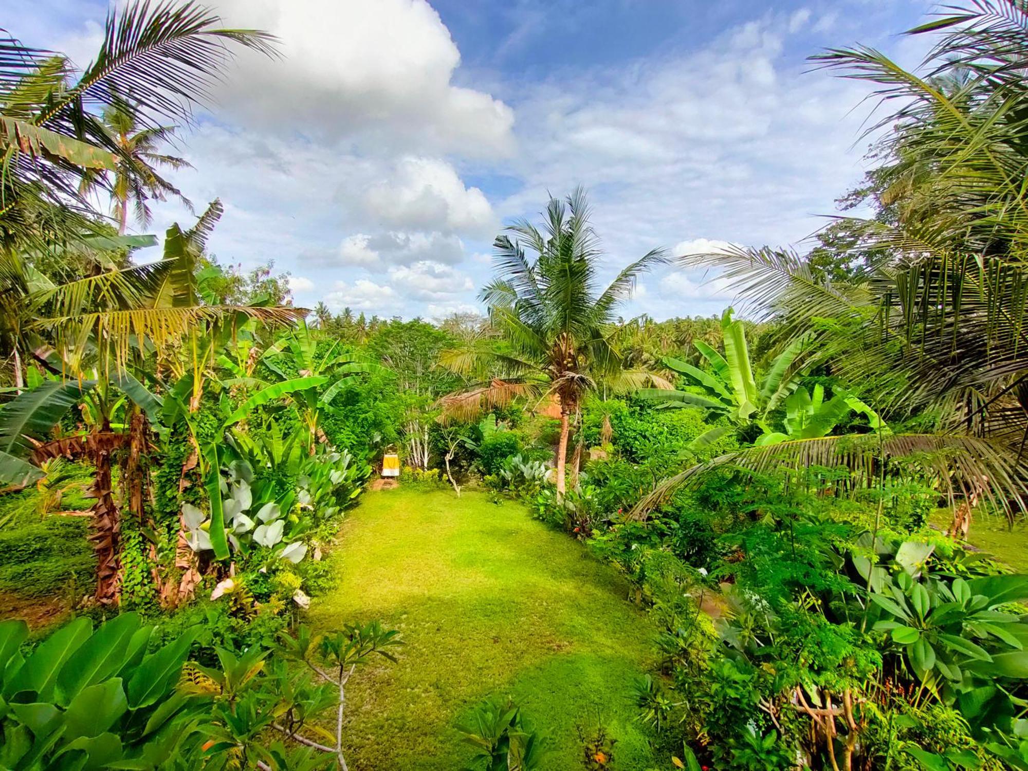 D'Nanda Villa Ubud Kültér fotó