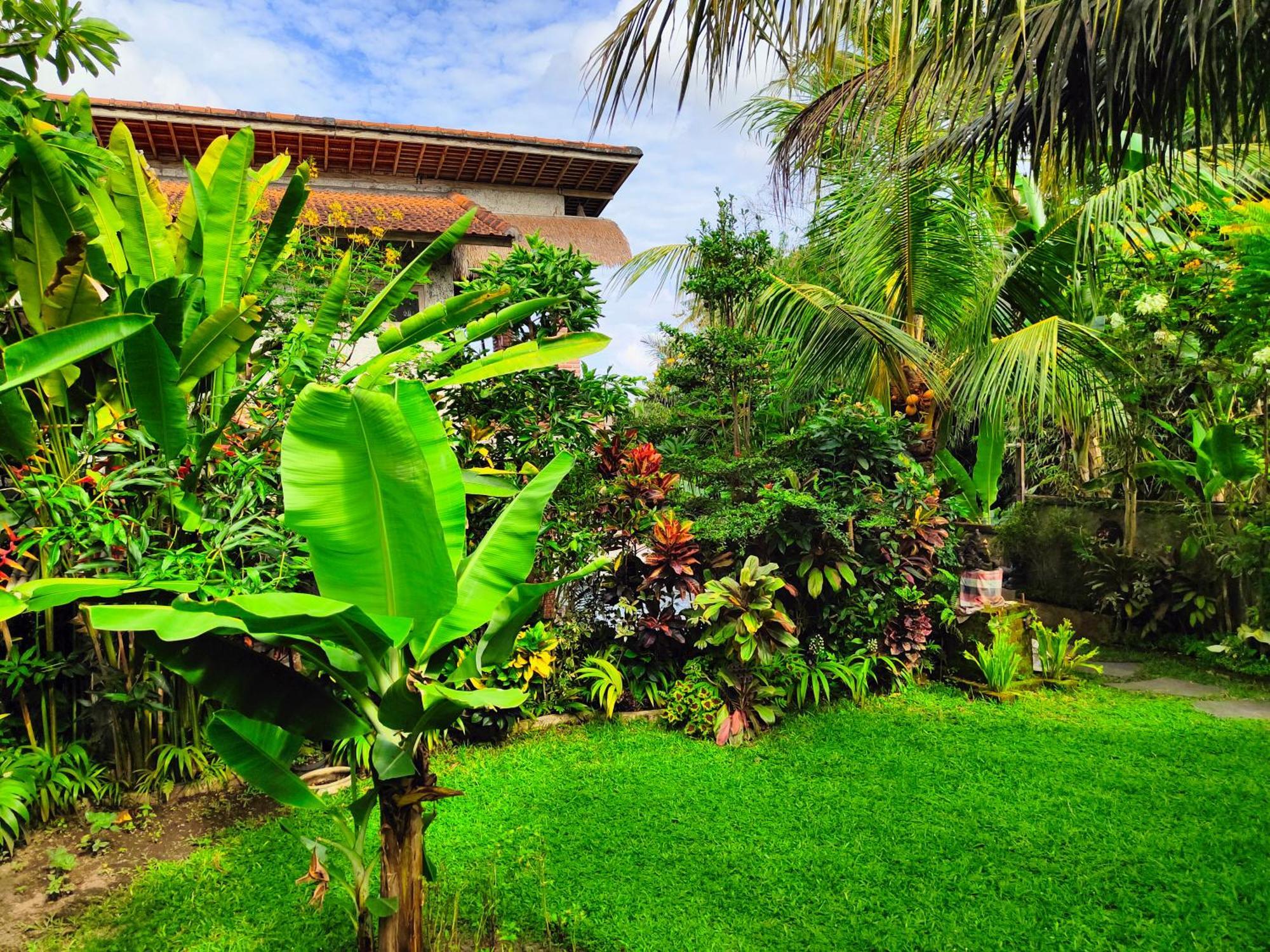D'Nanda Villa Ubud Kültér fotó