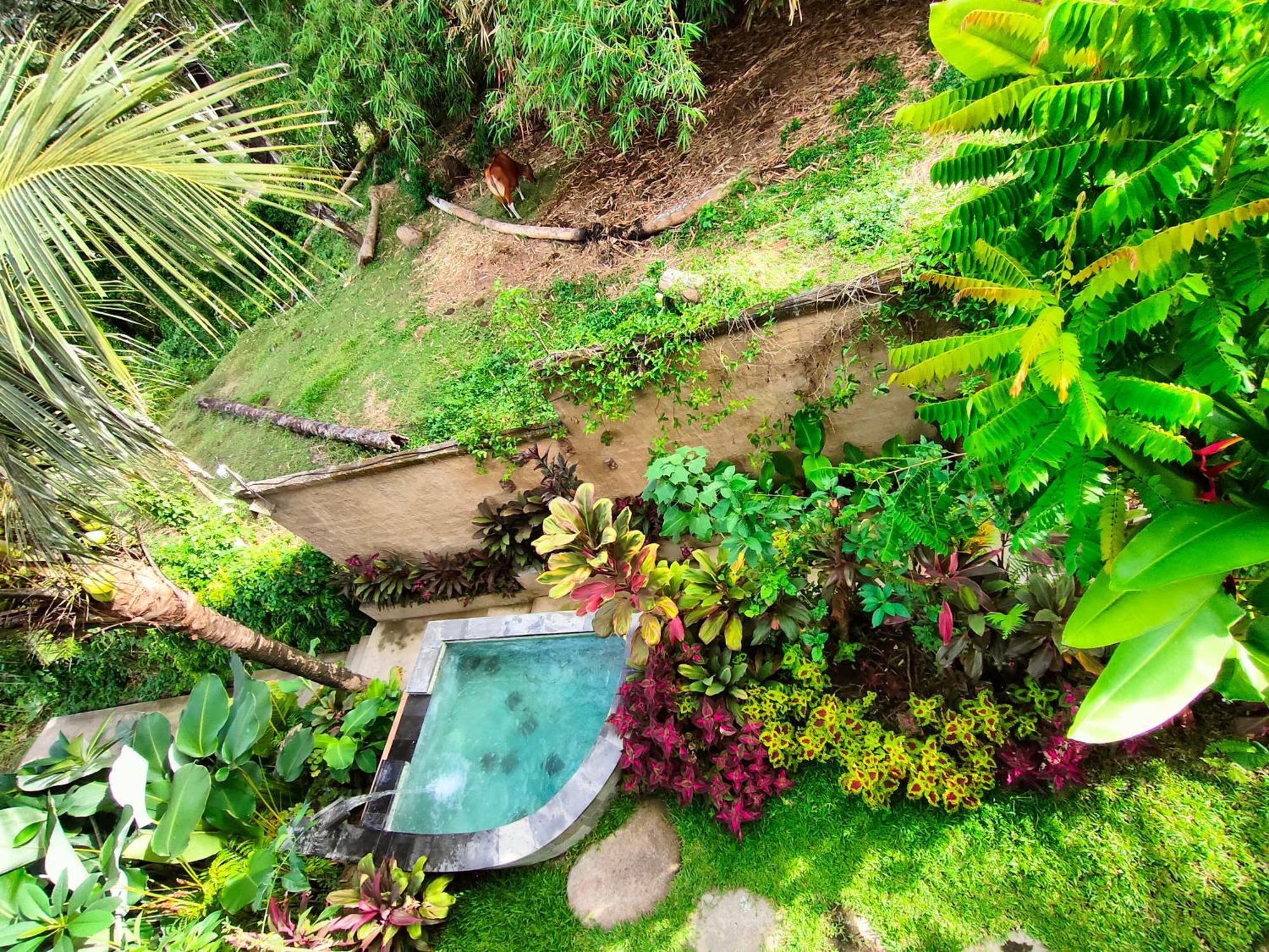 D'Nanda Villa Ubud Kültér fotó