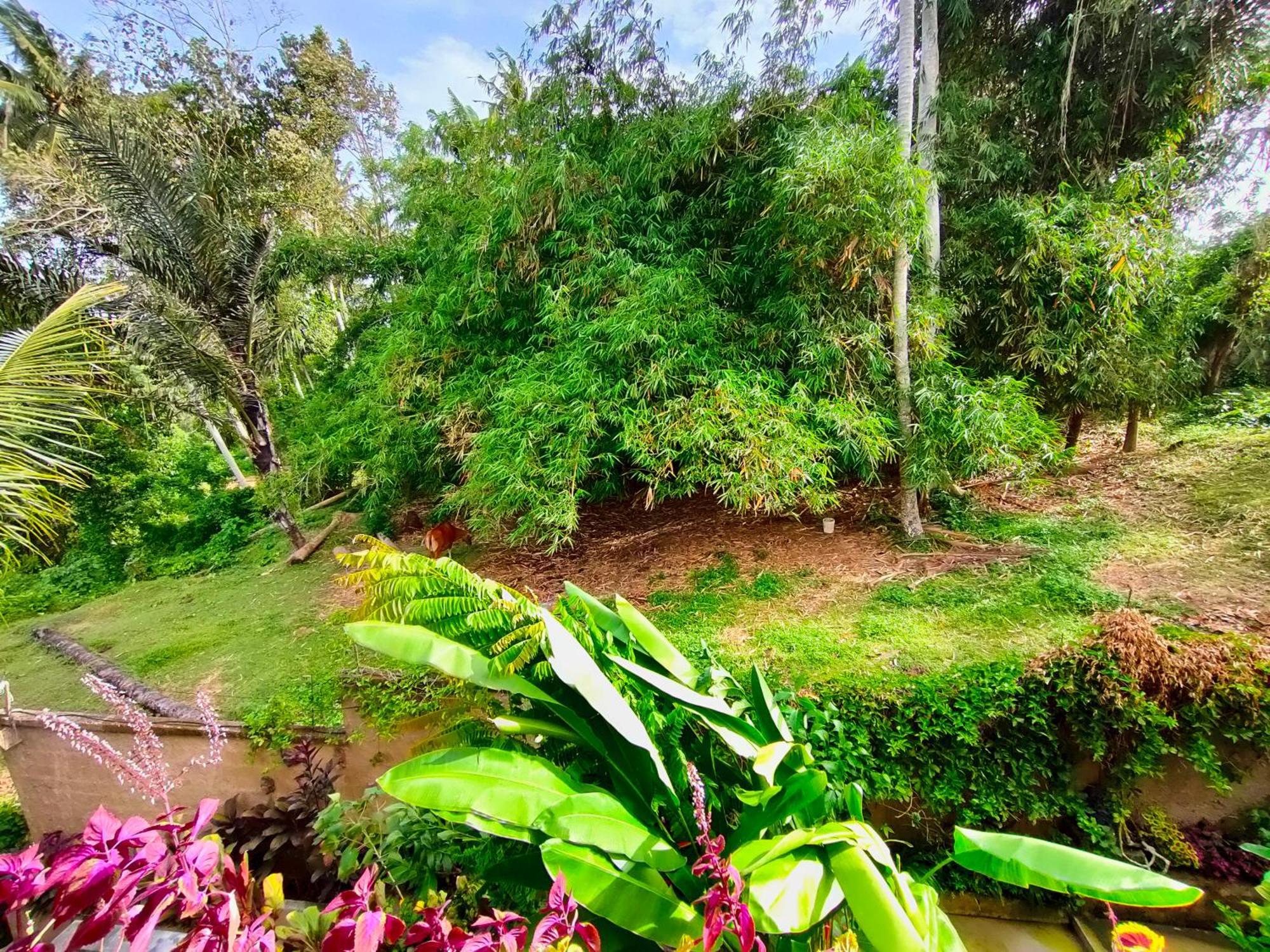 D'Nanda Villa Ubud Szoba fotó