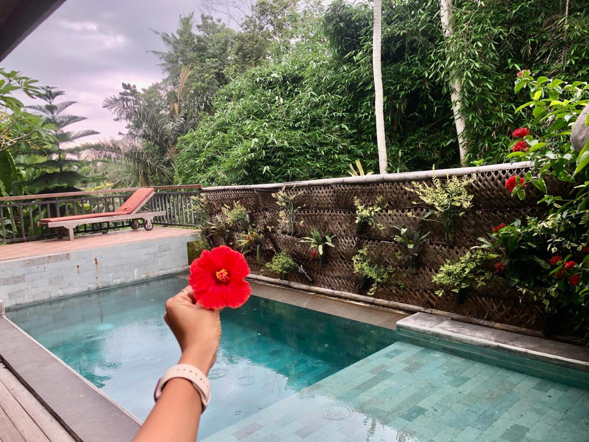 D'Nanda Villa Ubud Kültér fotó
