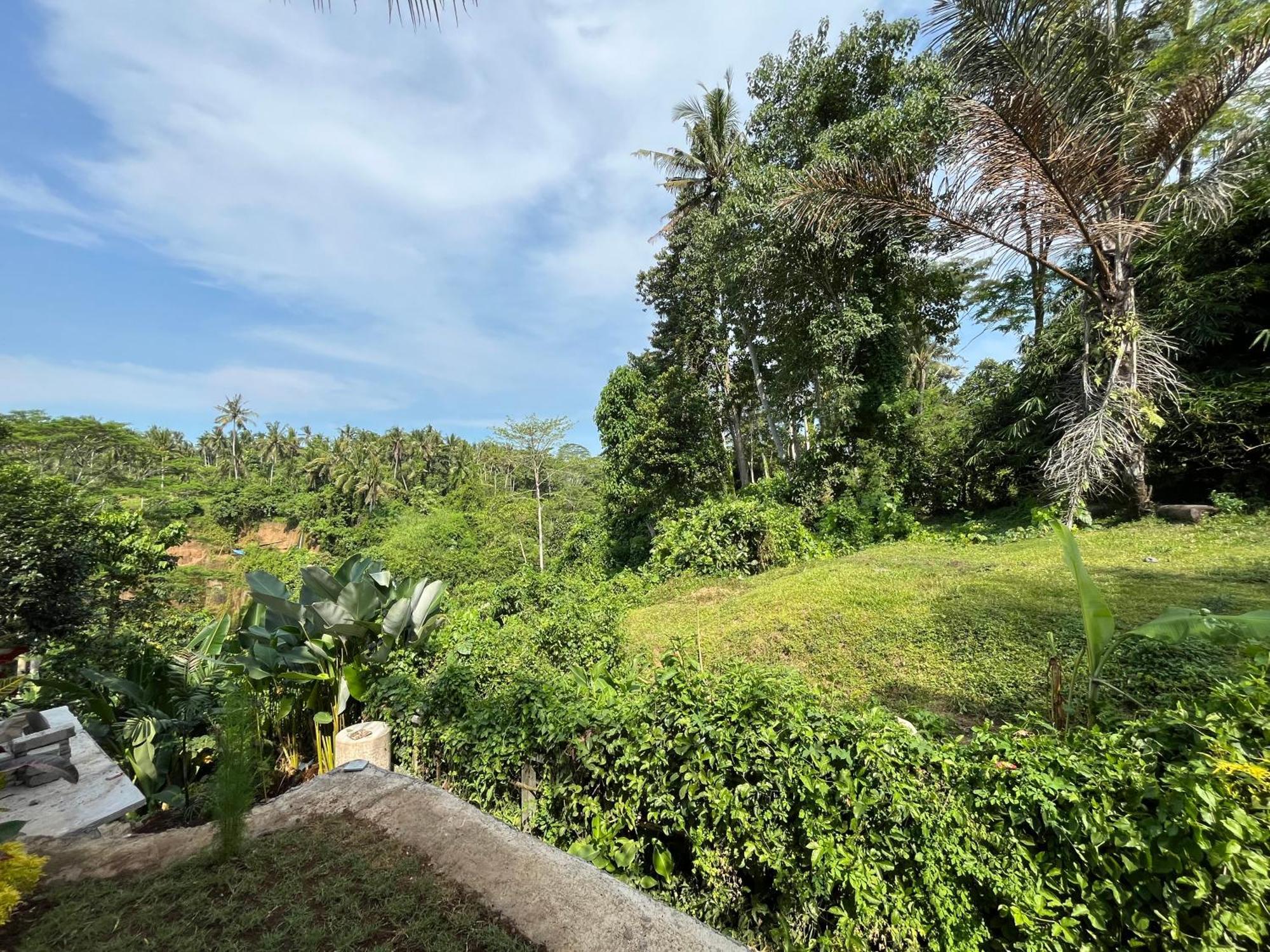 D'Nanda Villa Ubud Kültér fotó