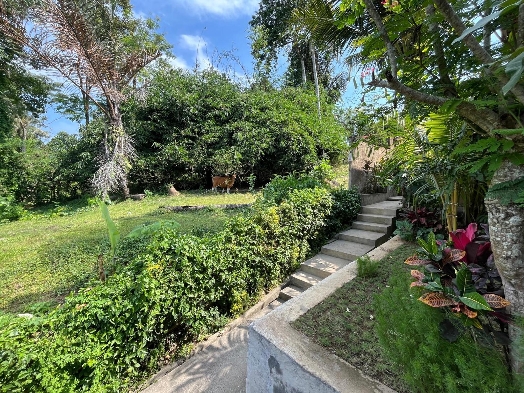 D'Nanda Villa Ubud Kültér fotó
